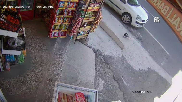 Bakkaldan cips çalan karga suçüstü yakalandı! Etrafı kolaçan etti paketi alıp kaçtı - Resim: 1